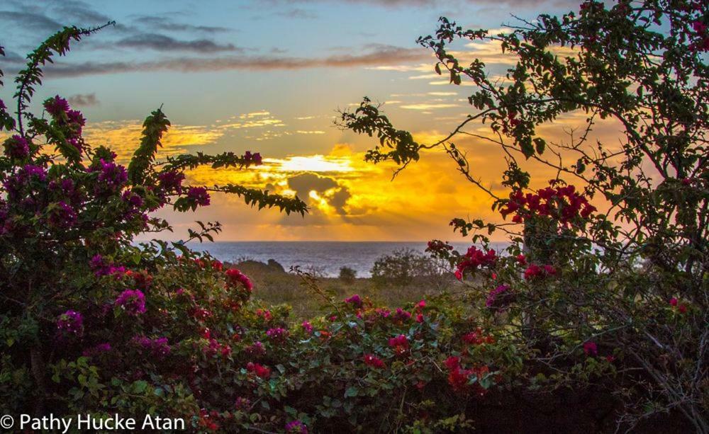 Kona Koa Lodge Hanga Roa Bagian luar foto